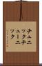チュニック Scroll