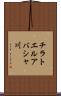 チラトエルアバシャ川 Scroll