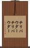 チリパウダー Scroll