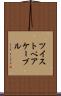 ツイストペアケーブル Scroll