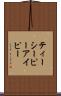 ティーシーピーアイピー Scroll