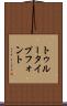 トゥルータイプフォント Scroll