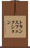 トランスフェクション Scroll