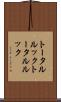 トータルルック Scroll