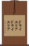 ドライエリア Scroll