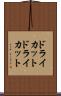 ドライカット Scroll