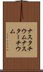 ナスタチウム Scroll