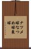 ナツメ球 Scroll