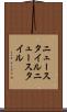 ニュースタイル Scroll