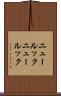 ニュールック Scroll