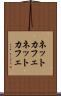 ネットカフェ Scroll