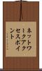 ネットワーク・アクセス・ポイント Scroll