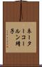 ネーターコールン靖子 Scroll