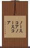 ノースコア Scroll