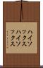 ハイソックス Scroll