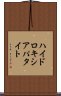 ハイドロキシアパタイト Scroll