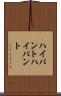 ハイパント Scroll