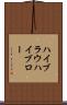 ハイブラウ Scroll