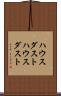ハウスダスト Scroll