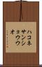 ハコネサンショウウオ Scroll