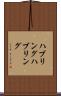 ハブリング Scroll