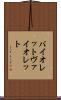 バイオレット Scroll