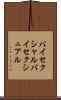 バイセクシャル Scroll