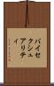 バイセクシュアリティ Scroll