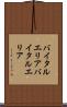 バイタルエリア Scroll