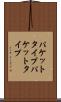 パケットタイプ Scroll
