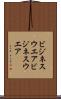 ビジネスウエア Scroll