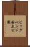 ビッグベンド国立公園 Scroll