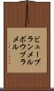 ビューブランメル Scroll