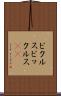 ピクルス Scroll
