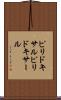 ピリドキサル Scroll