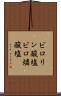 ピロリン酸塩 Scroll