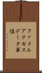 ファイルアクセスデータ単位 Scroll