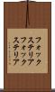 フォックステリア Scroll