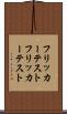 フリッカーテスト Scroll