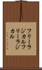 フリーラジカル Scroll