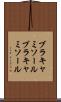 ブラキャミソール Scroll