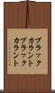 ブラックカラント Scroll