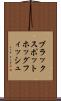 ブラックスポットホッグフィッシュ Scroll