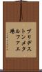 ブリヂストンメタルファ工場 Scroll