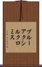 ブルーアクシルクロミス Scroll