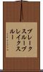 ブレークスルー Scroll