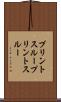 プリントスルー Scroll