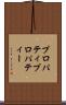 プロパティ Scroll