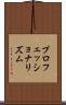 プロフェッショナリズム Scroll