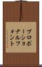 プロポーショナルフォント Scroll